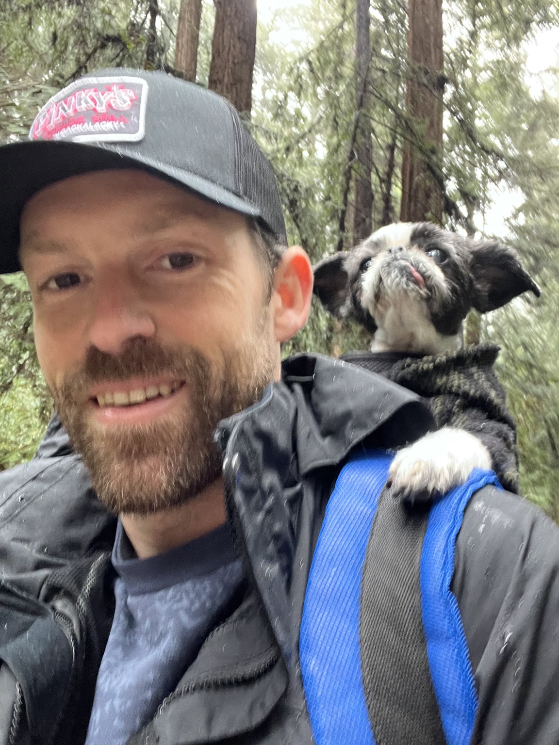Mike hiking through redwoods with Zuki in a backpack