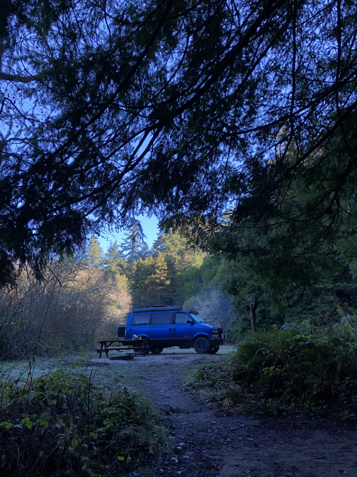 Blue Chevy Astro at a forest campsite