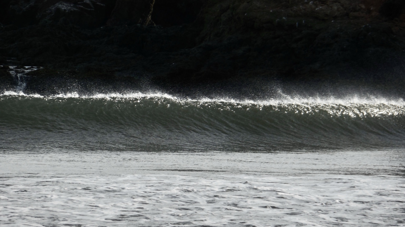 A green wave catching a line of sunlight