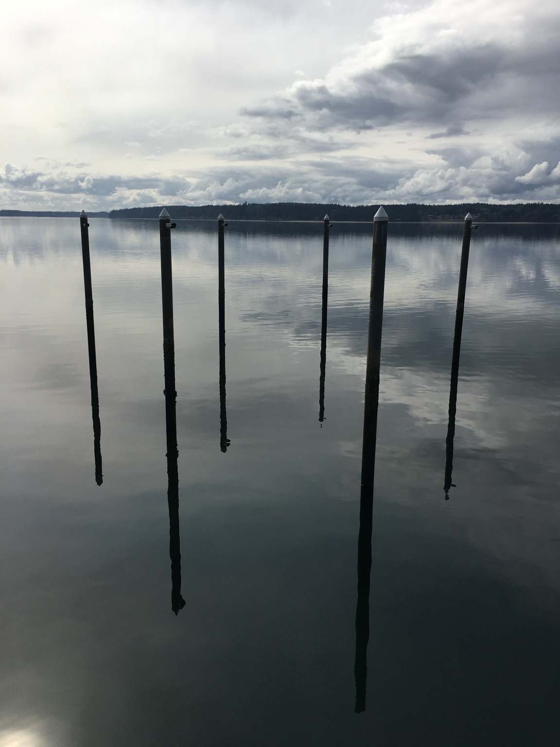 Weathered pilings reflected in still water